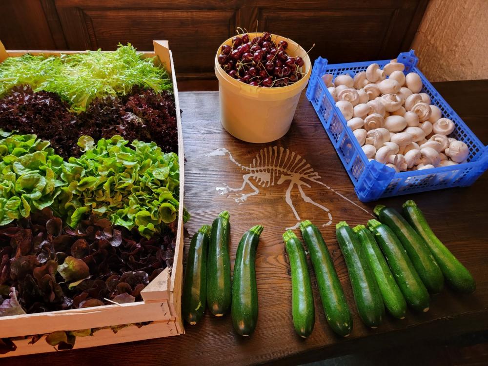 legumes